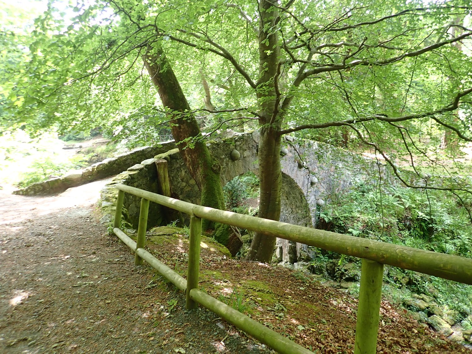 Foley's Bridge over the Shimna River in mossy Tollymore Forest